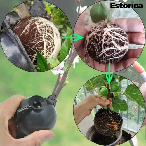 Plant Rooting Ball – Grow Strong Roots Faster, Naturally.