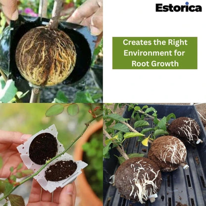 Plant Rooting Ball – Grow Strong Roots Faster, Naturally.